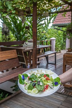 Garden salad