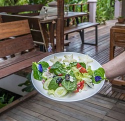 Garden salad