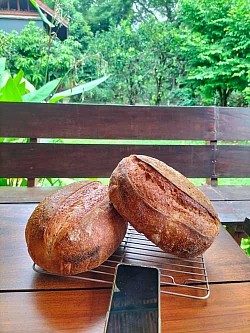Freshly baked bread