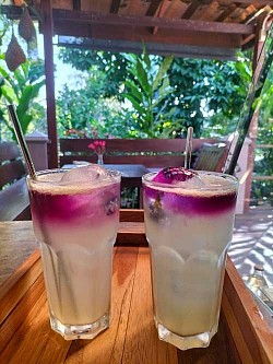 Fresh soda drinks